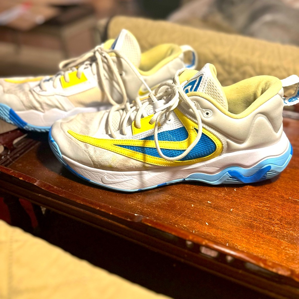 Nike Giannis Basketball Shoes